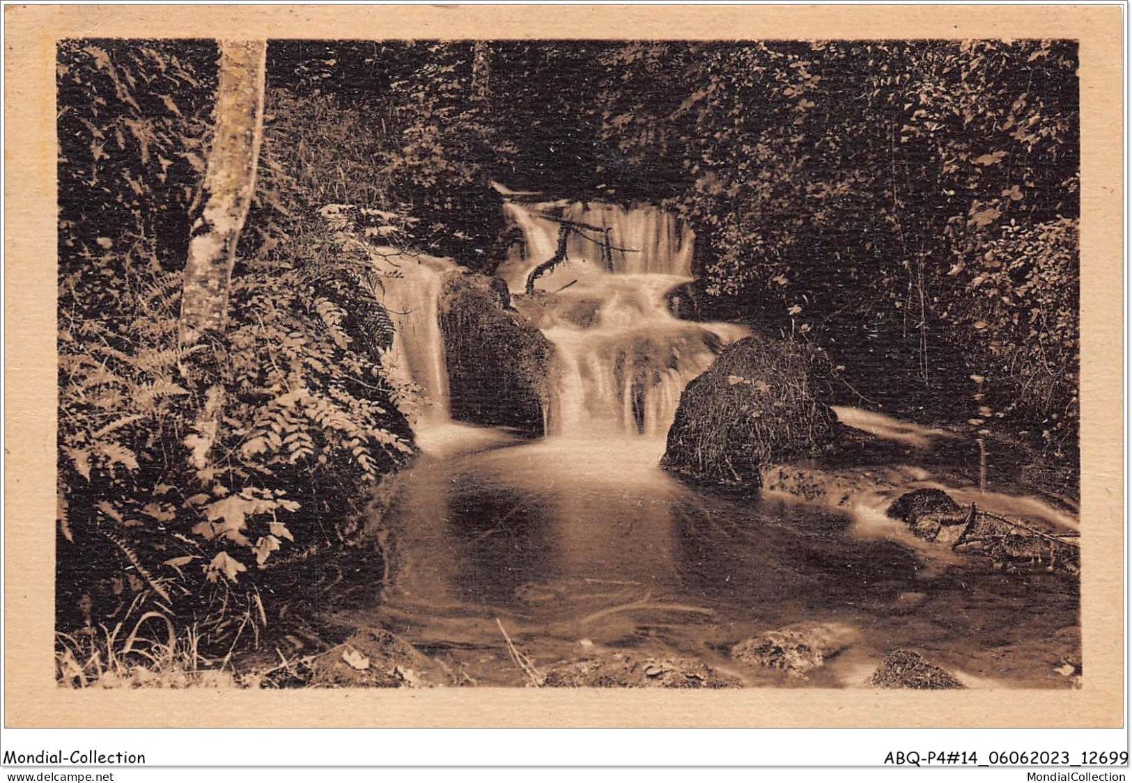 ABQP4-14-0351 - FALAISE - Cascade De Laison Au Mont Joly - Falaise