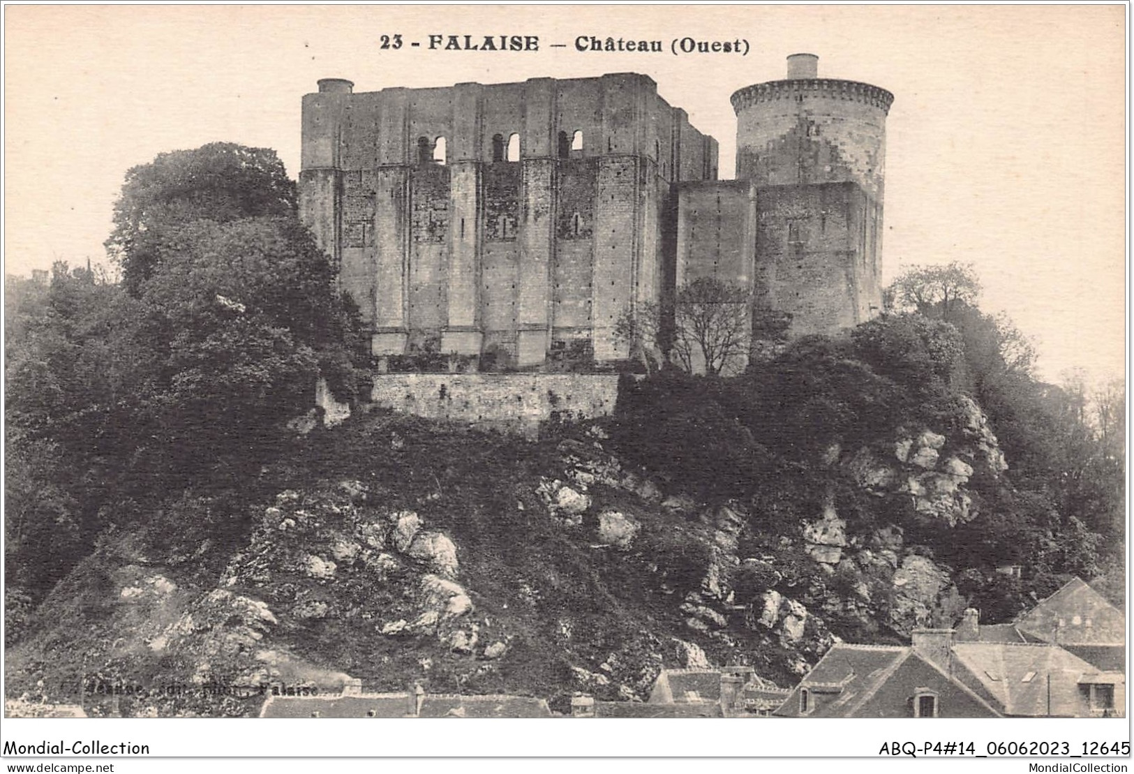 ABQP4-14-0325 - FALAISE - Le Chateau - Falaise