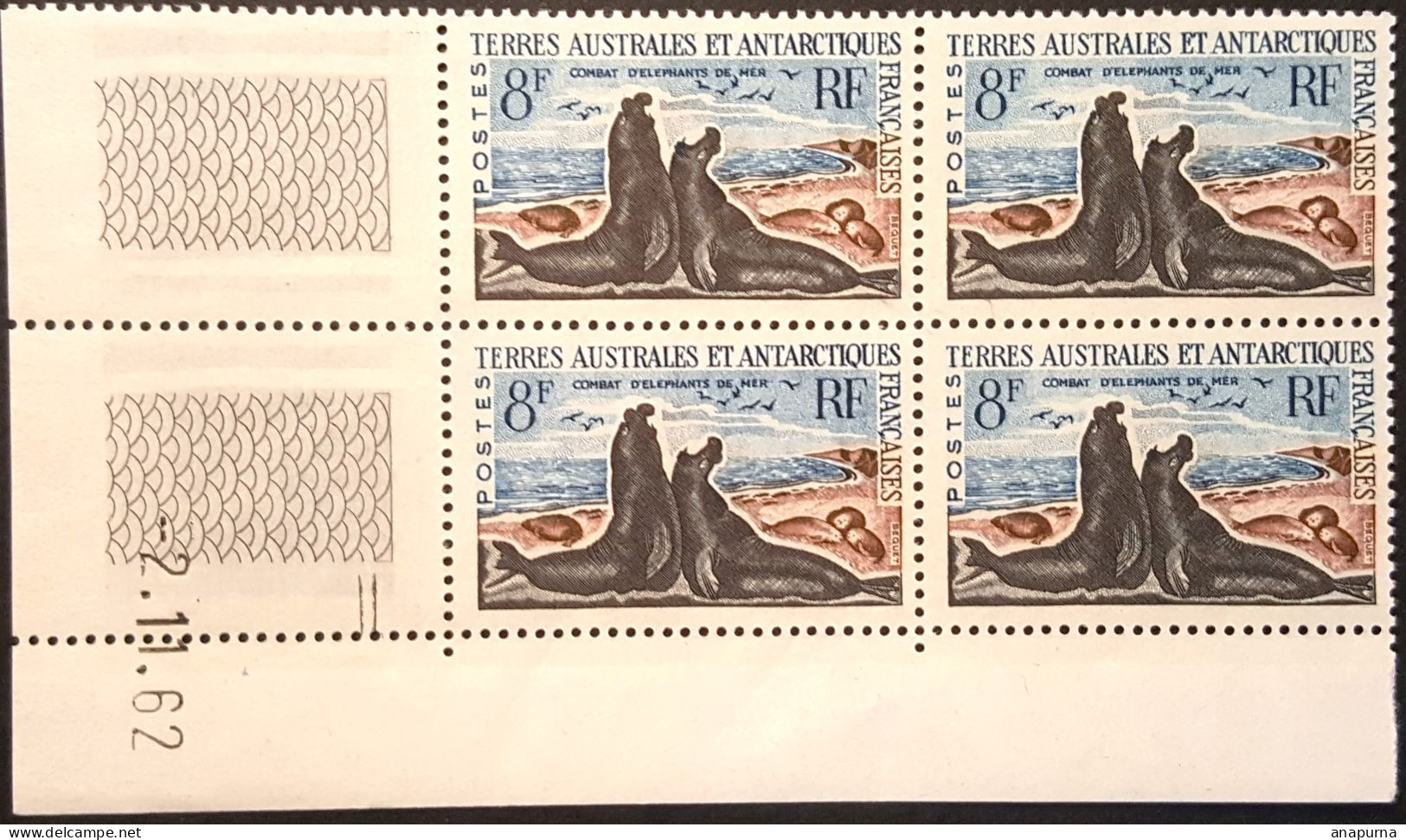 Timbre TAAF BLOC DE 4 Coin Daté, Faune, Combat D'éléphants De Mer, N° 13 C, Sans Charnière, - Unused Stamps
