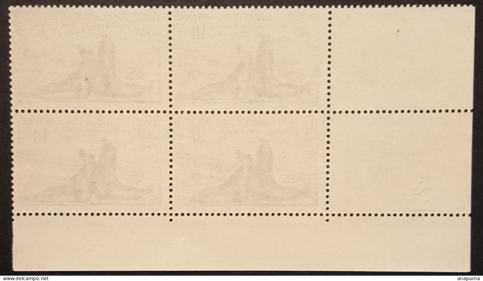 Timbre TAAF BLOC DE 4 Coin Daté, Faune, Combat D'éléphants De Mer, N° 13 C, Sans Charnière, - Unused Stamps