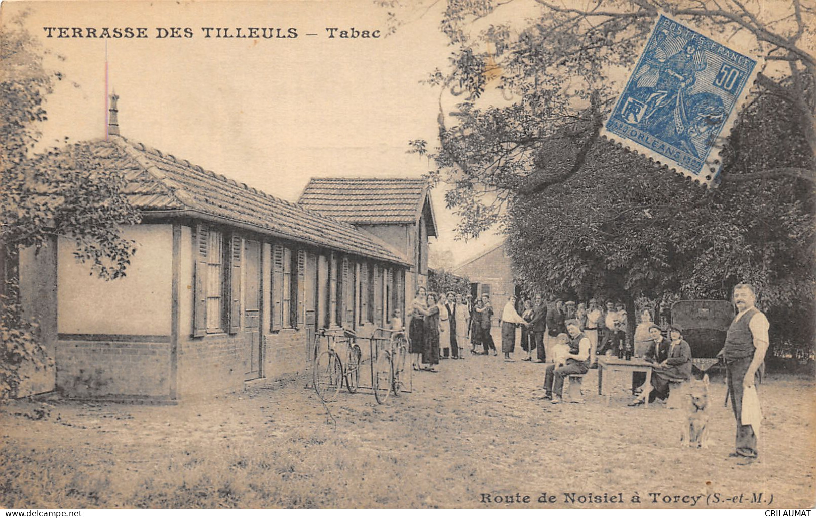 77-TORCY-TERRASSE DES TILLEULS-N°6030-H/0163 - Torcy