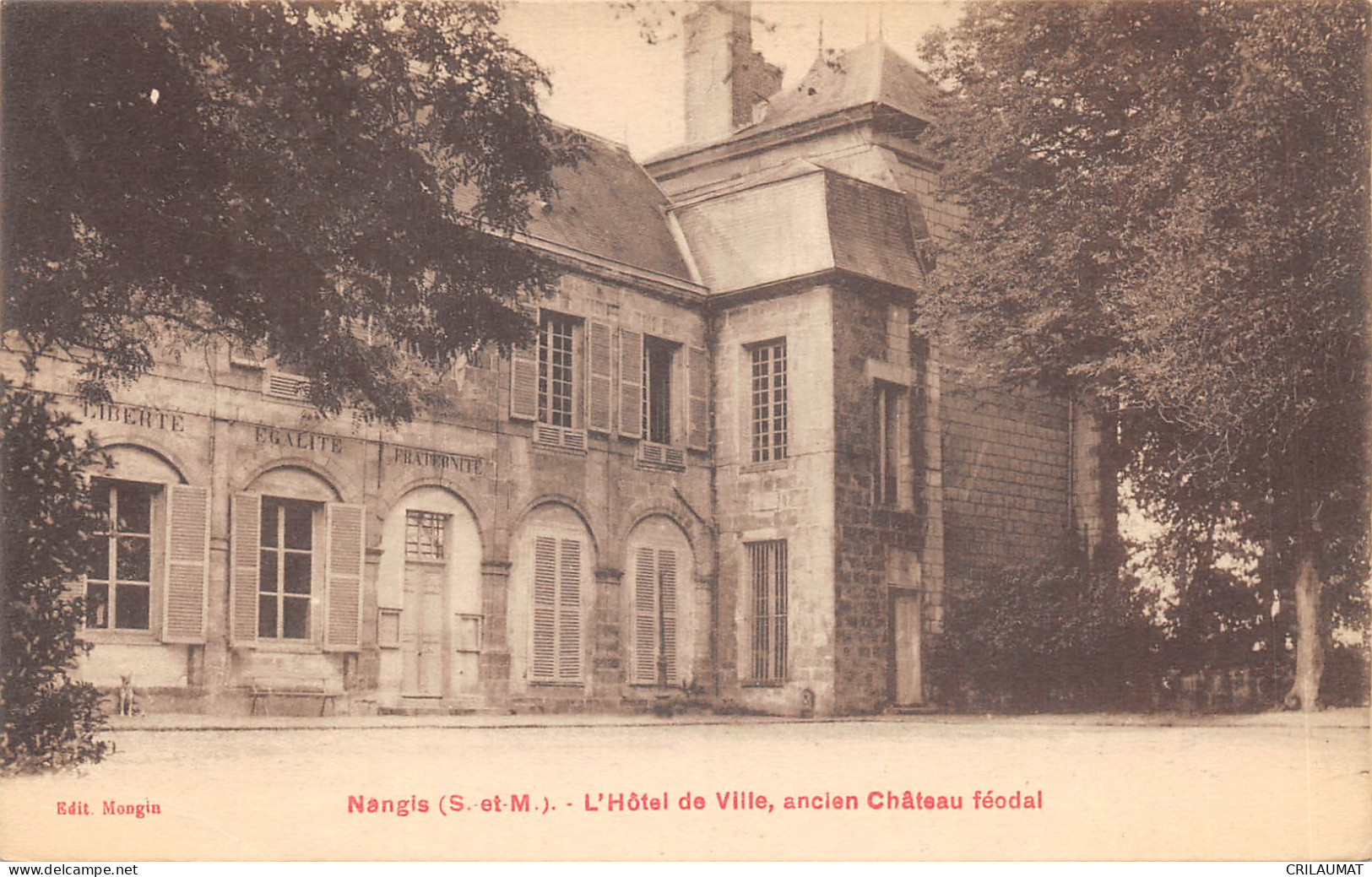 77-NANGIS-L HOTEL DE VILLE-ANCIEN CHATEAU-N°6030-G/0333 - Nangis