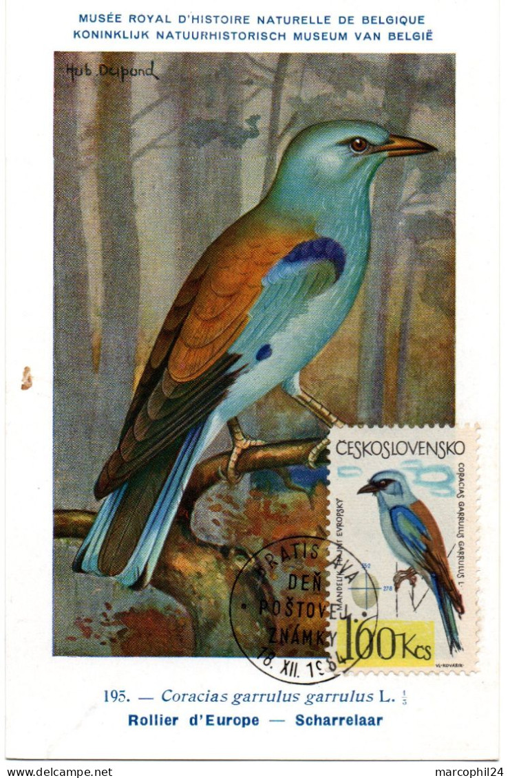 OISEAU / Rollier D'Europe = TCHECOSLOVAQUIE 1964  N° 1366  = CARTE MAXIMUM INSTITUT ROYAL De BELGIQUE - Sperlingsvögel & Singvögel