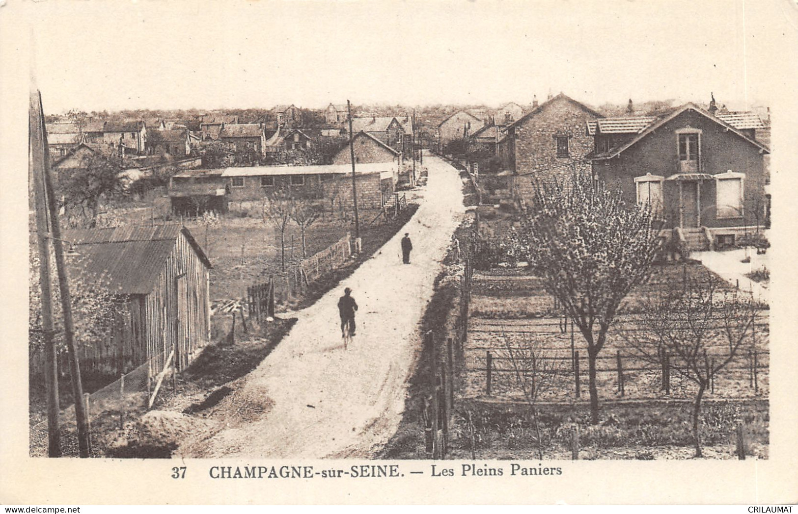 77-CHAMPAGNE SUR SEINE-LES PLEINS PANIERS-N°6030-F/0219 - Champagne Sur Seine