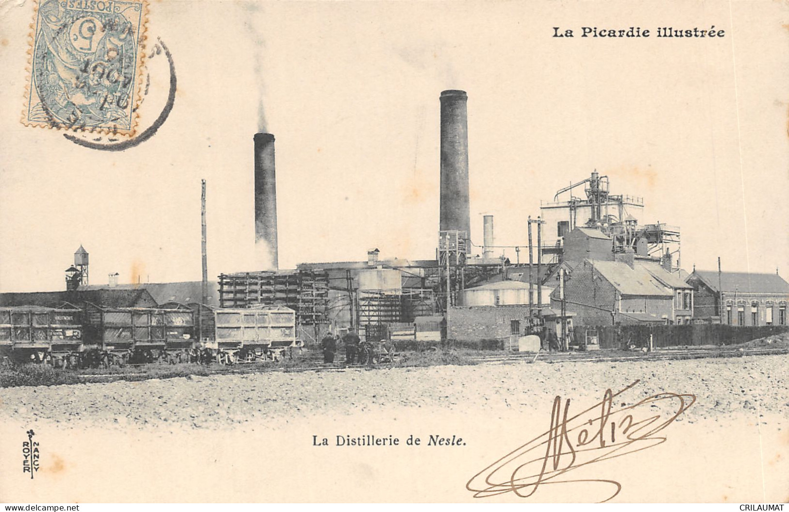 80-NESLE-LA DISTILLERIE-N°6031-B/0075 - Nesle