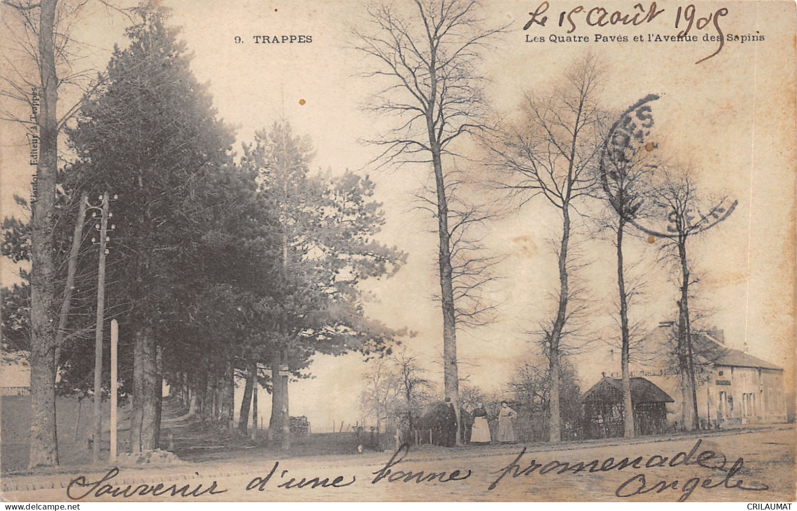 78-TRAPPES-AVENUE DES SAPINS-N°6031-A/0257 - Trappes