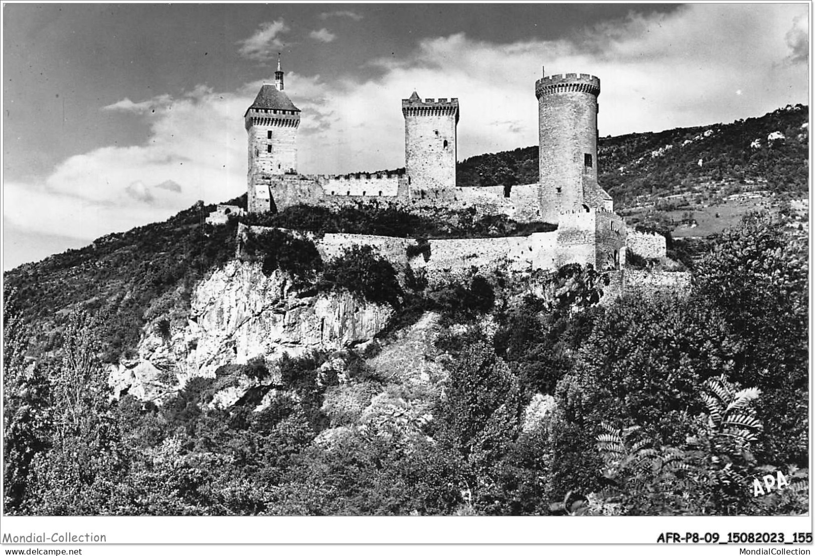 AFRP8-09-0730 - FOIX - Ariège - Le Château - Façade Ouest - Foix