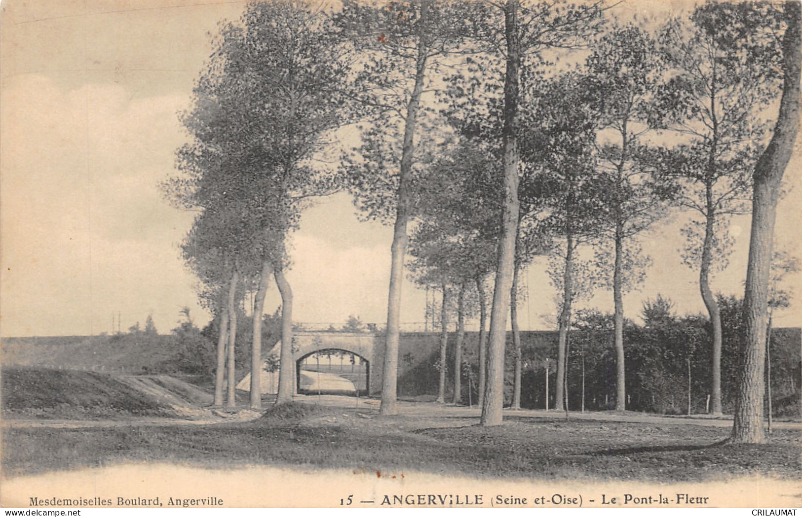 91-ANGERVILLE-LE PONT LA FLEUR-N°6031-E/0053 - Angerville