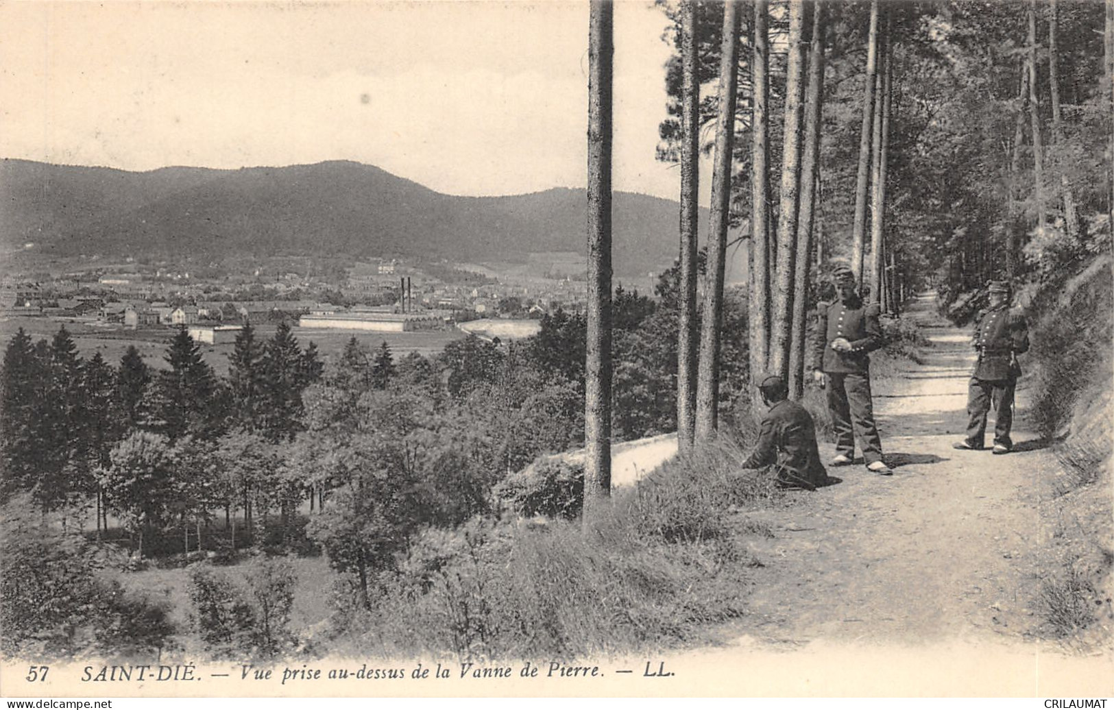 88-SAINT DIE-PANORAMA-N°6031-D/0077 - Saint Die