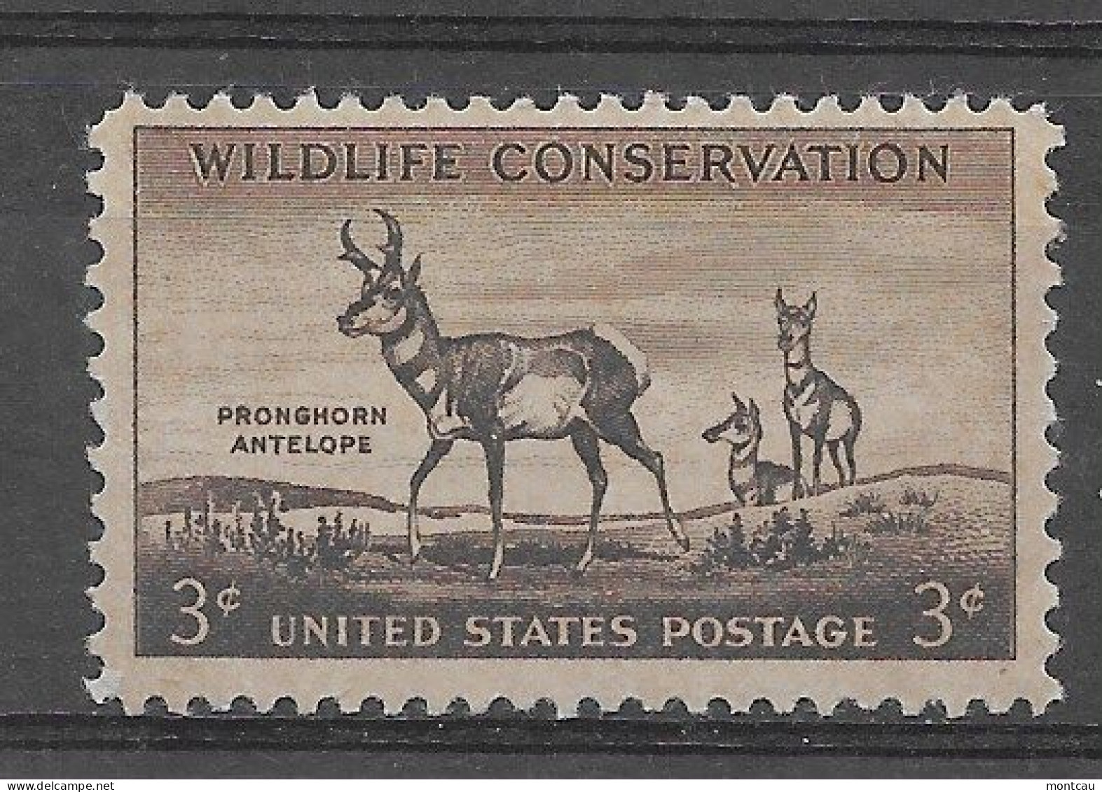 USA 1956.  Naturaleza Sc 1078  (**) - Ungebraucht