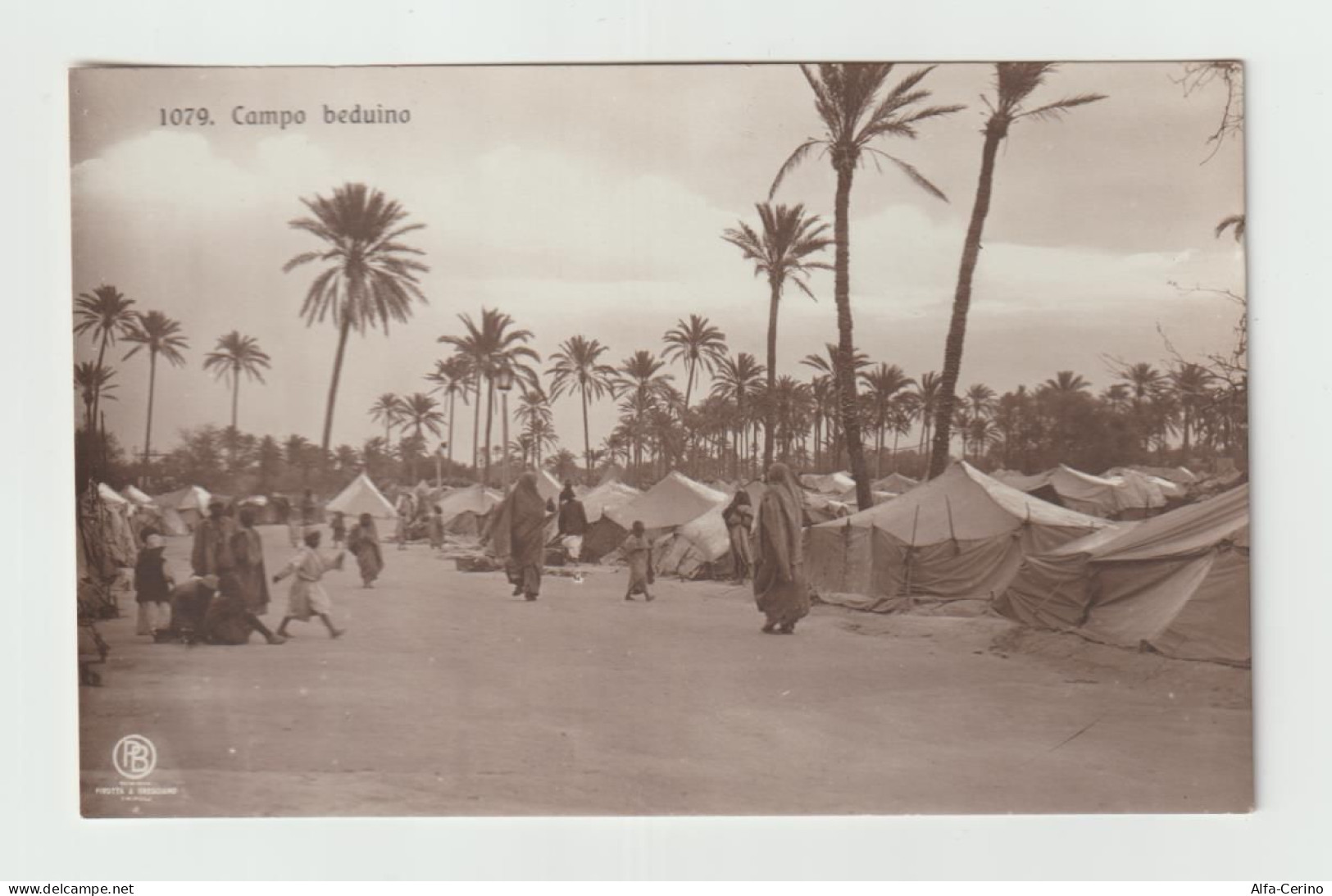 TRIPOLI  DINTORNI:  CAMPO  BEDUINO  -  FOTO  -  FP - Libia