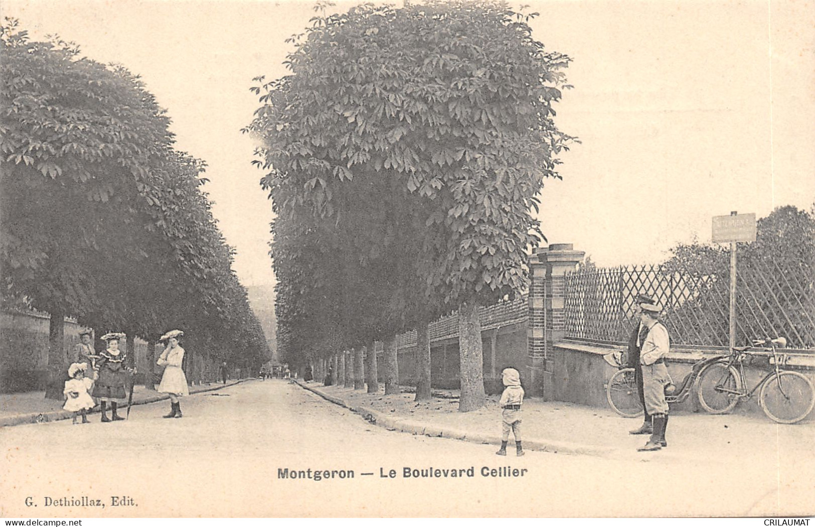 94-MONTGERON-BOULEVARD CELLIER-N°6031-H/0381 - Montgeron