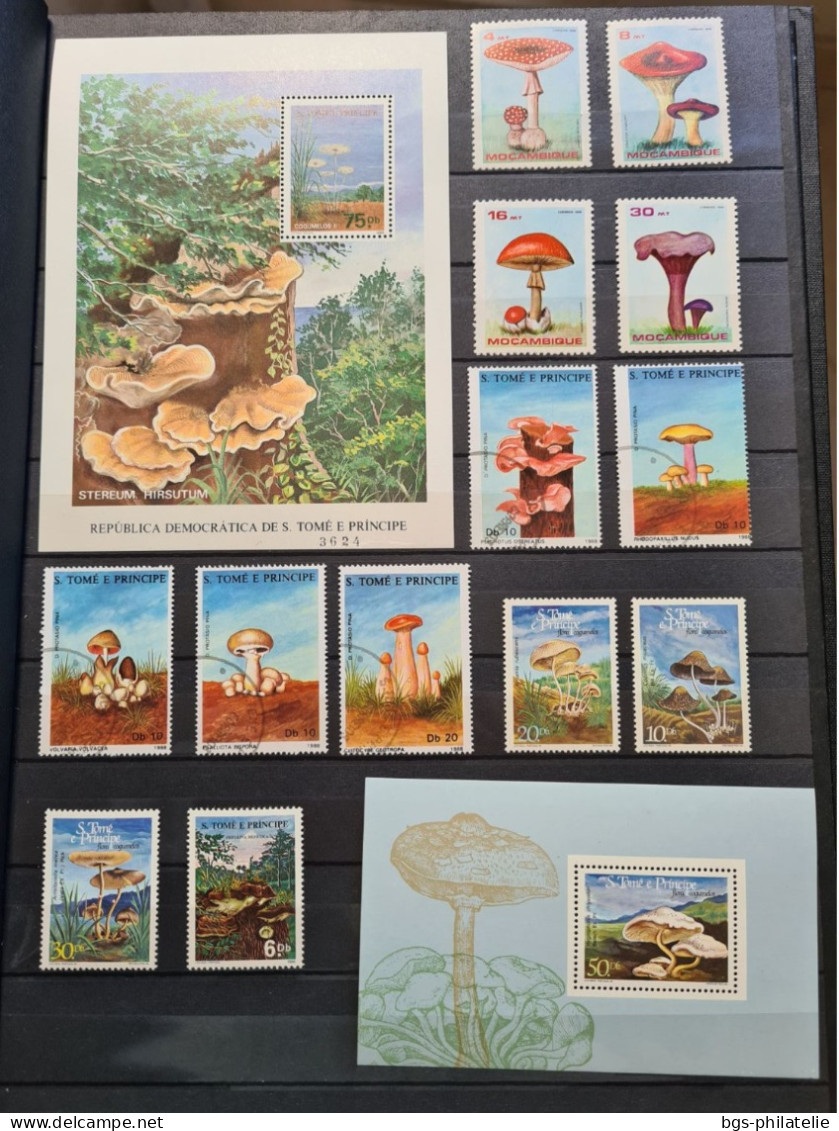 Collection De Timbres Sur Le Thème Des Champignons - Collezioni (senza Album)