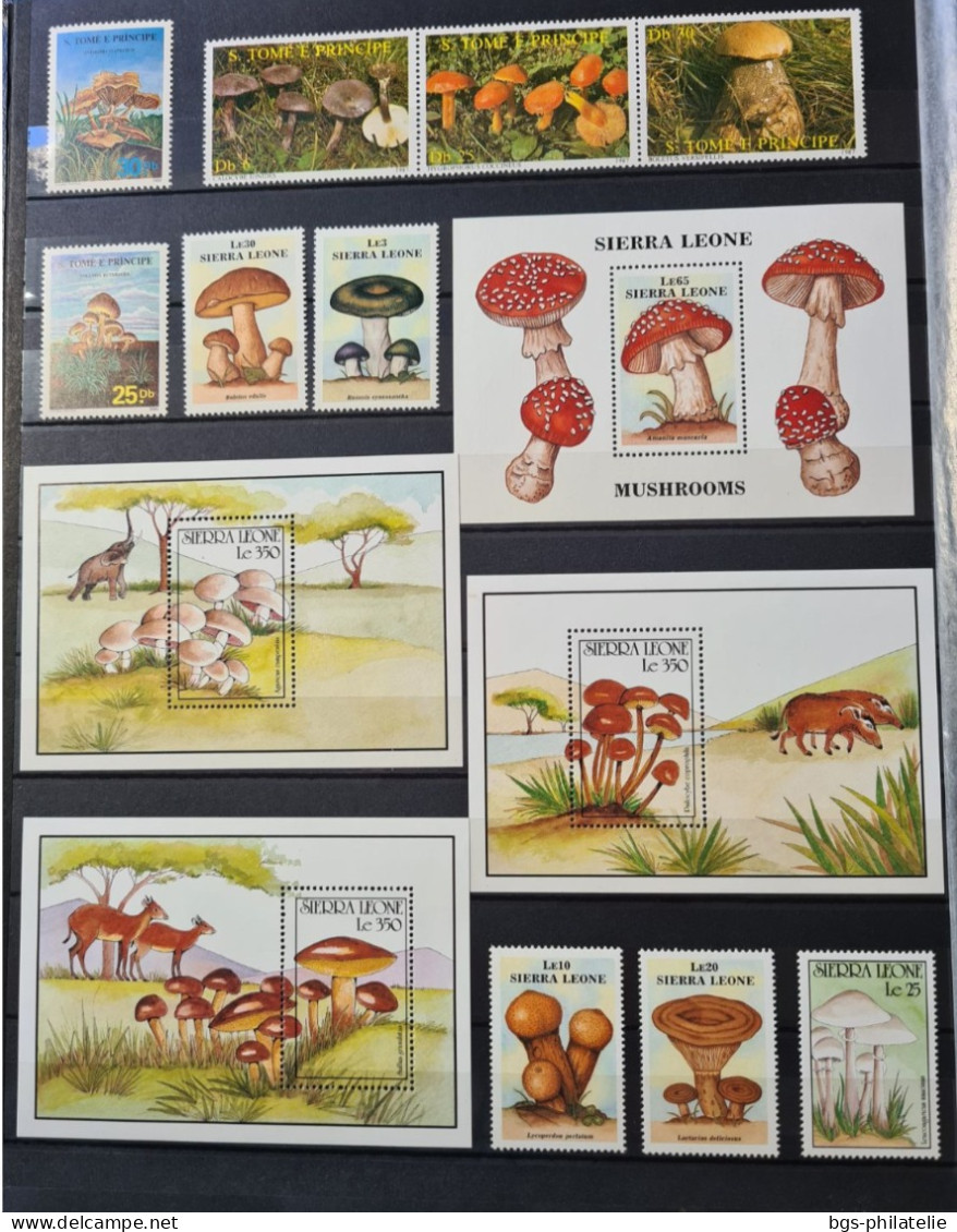 Collection De Timbres Sur Le Thème Des Champignons - Collections (sans Albums)