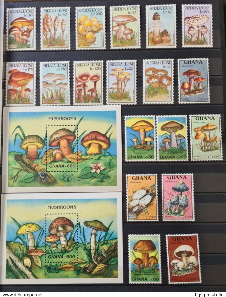 Collection De Timbres Sur Le Thème Des Champignons - Collezioni (senza Album)