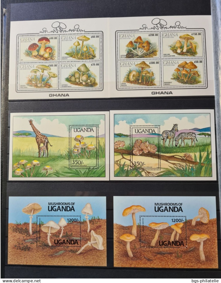 Collection De Timbres Sur Le Thème Des Champignons - Collections (without Album)