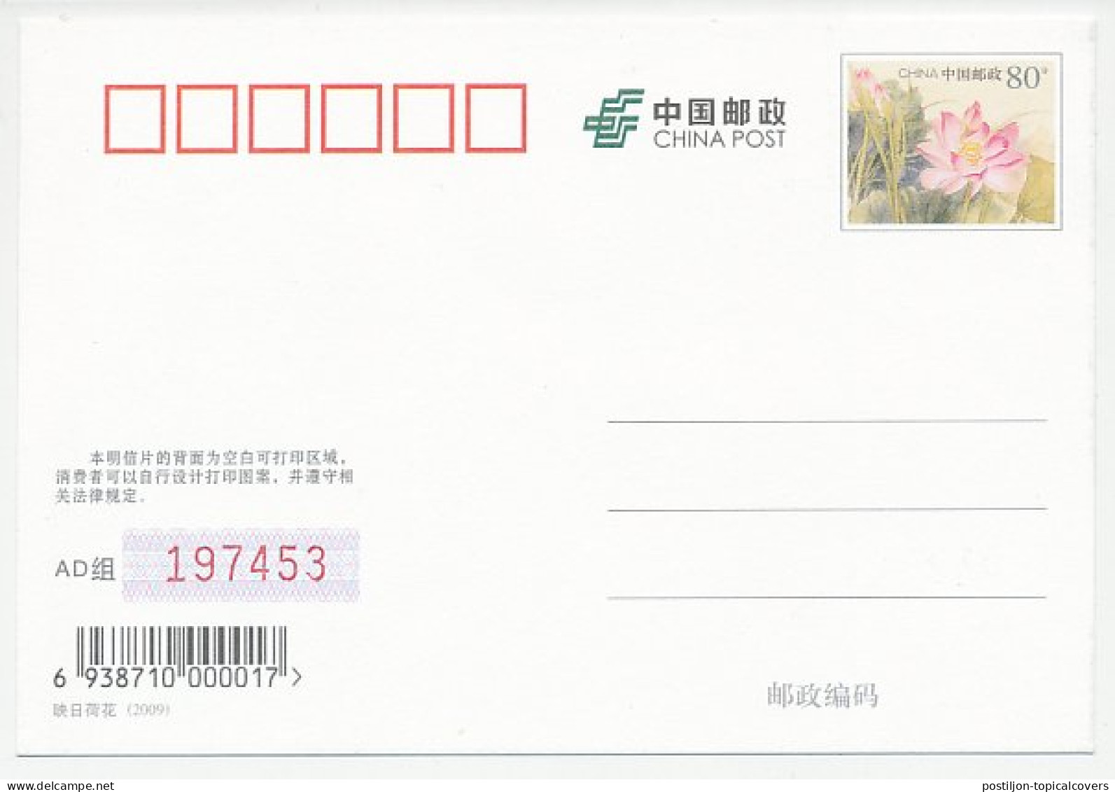 Postal Stationery China 2009 Cactus - Flower - Otros & Sin Clasificación