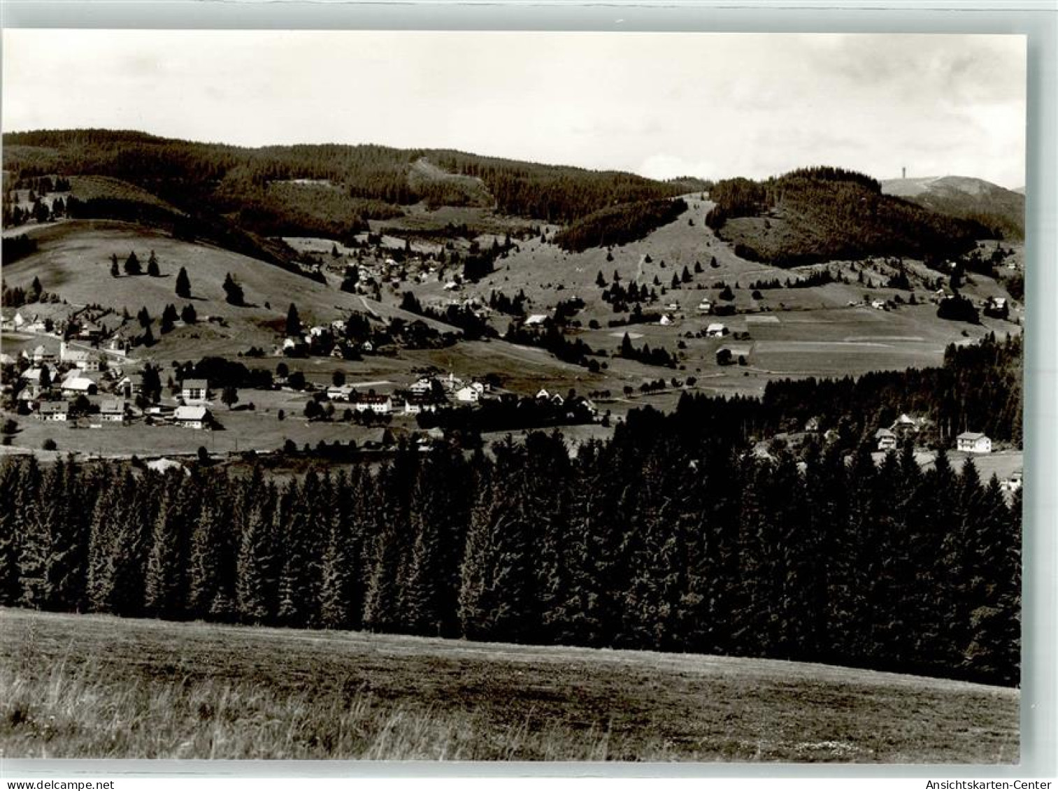 39665304 - Altglashuetten , Schwarzw - Feldberg