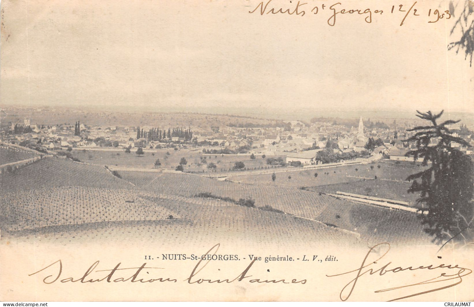 21-NUITS SAINT GEORGES-N°6035-D/0185 - Nuits Saint Georges