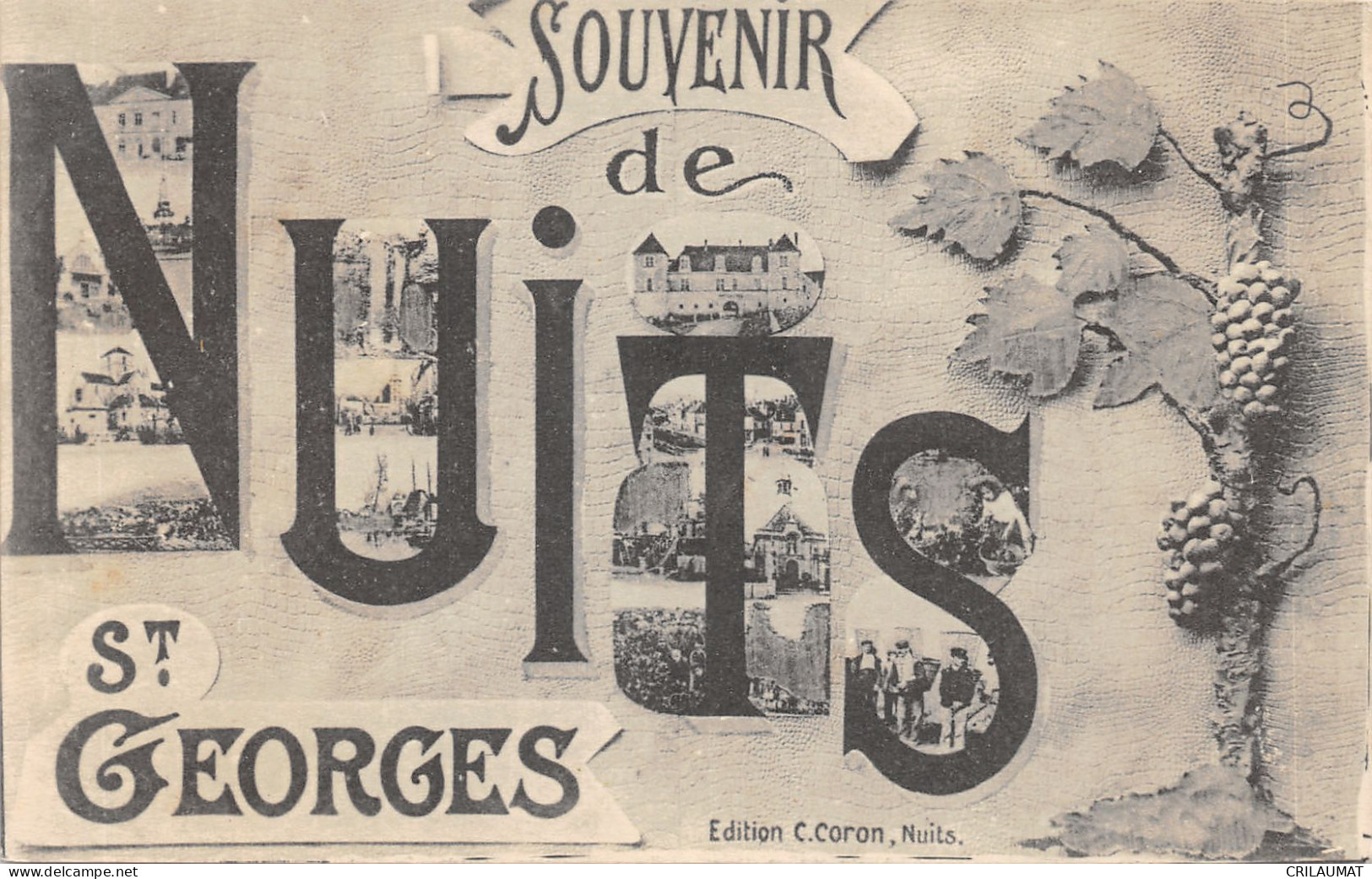 21-NUITS SAINT GEORGES-N°6035-D/0007 - Nuits Saint Georges