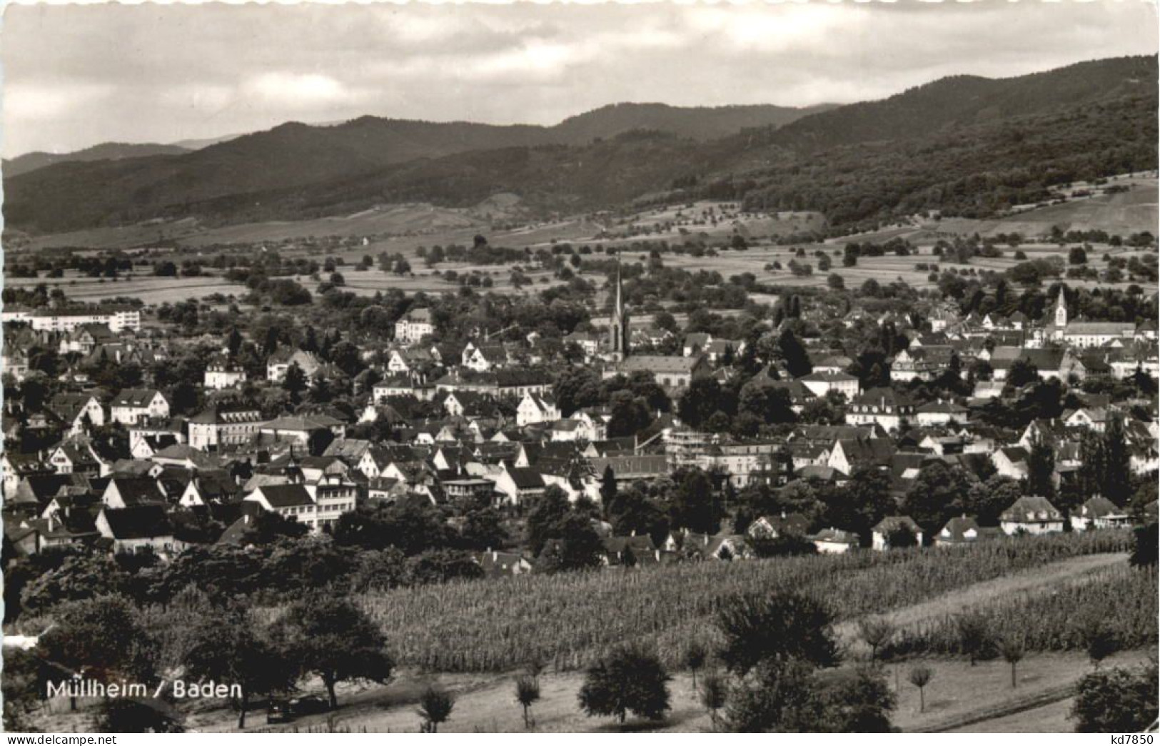 Müllheim In Baden - Muellheim