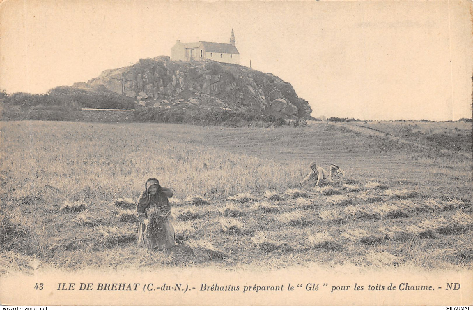 22-ILE DE BREHAT-N°6035-G/0085 - Ile De Bréhat