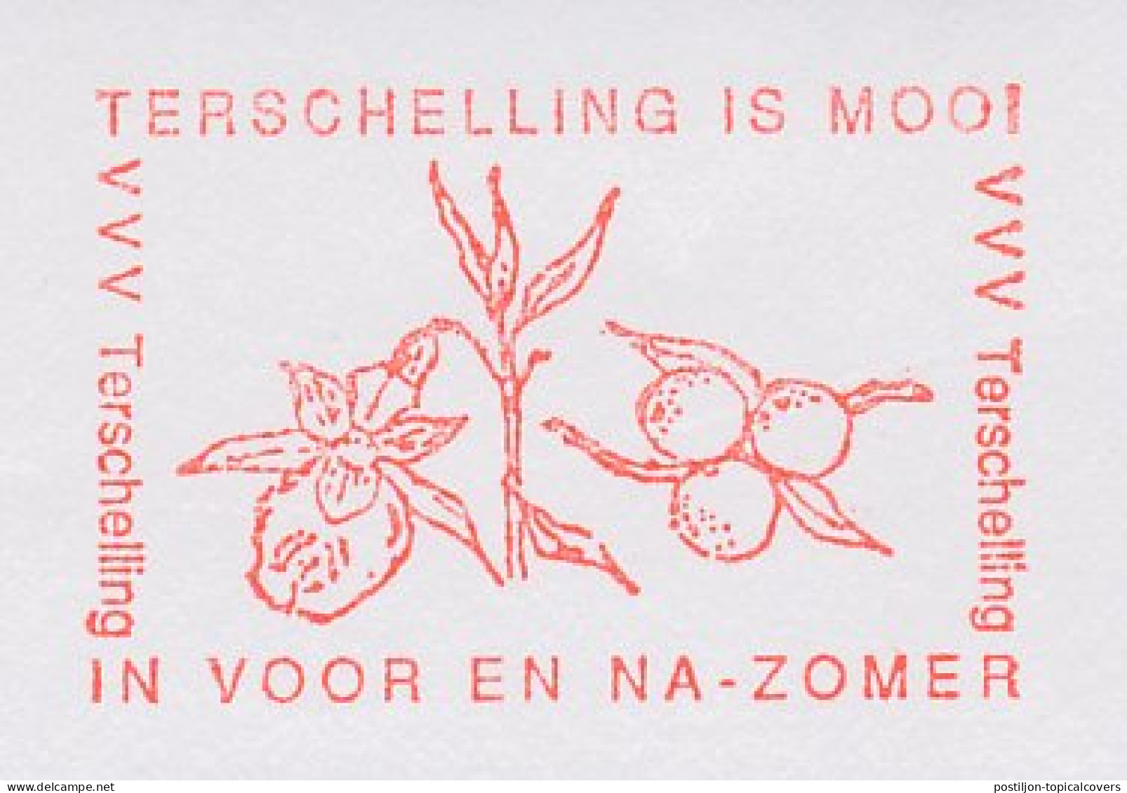 Meter Cut Netherlands 1991 Cranberry - Terschelling - Frutas