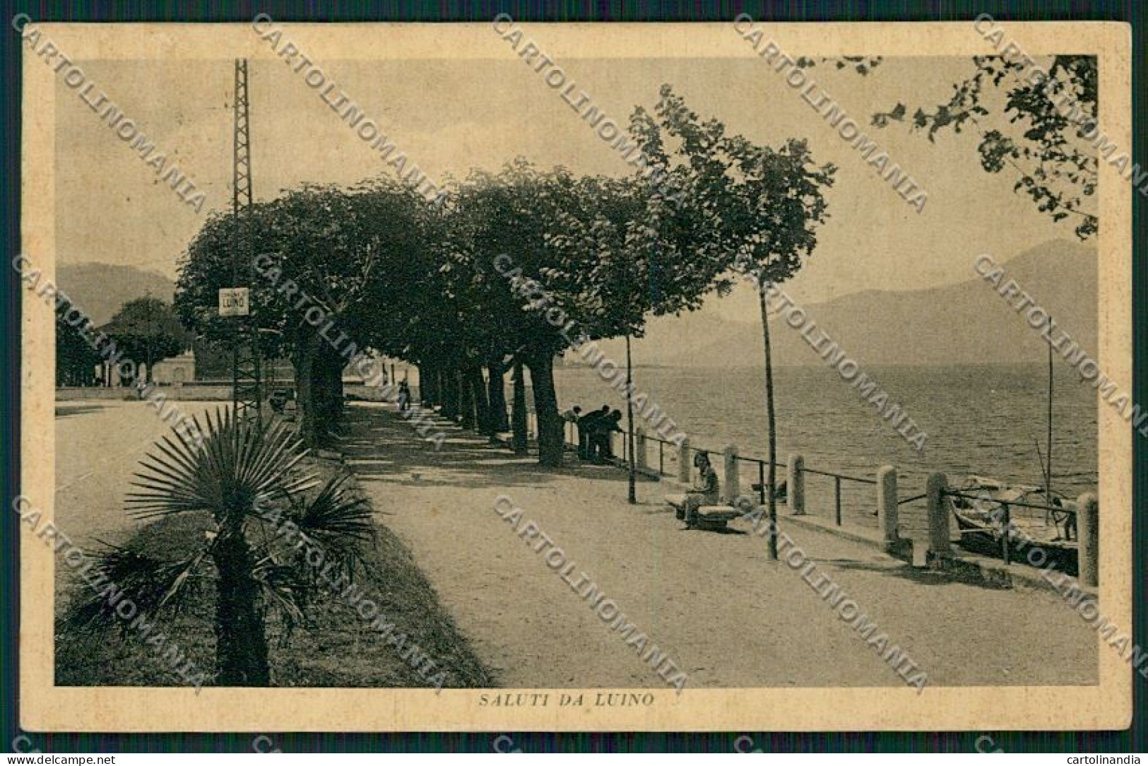 Varese Luino Cartolina QK1923 - Varese