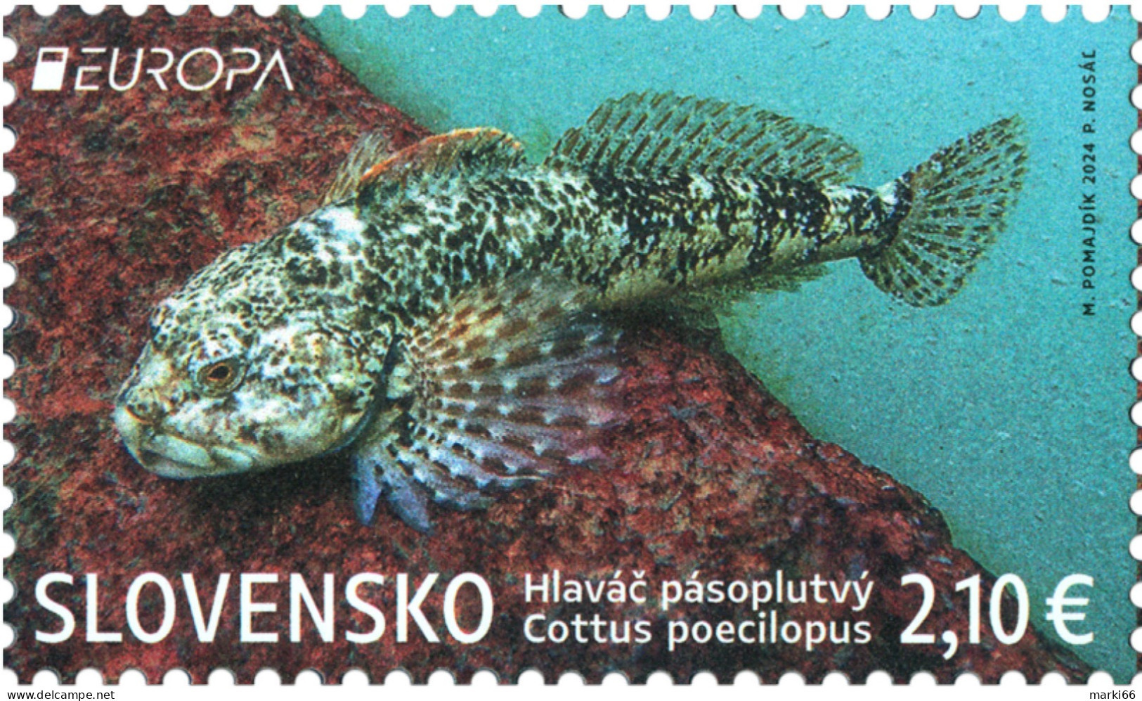 Slovakia - 2024 - Europa CEPT - Underwater Flora - Alpine Bullhead Fish - Mint Stamp - Nuevos