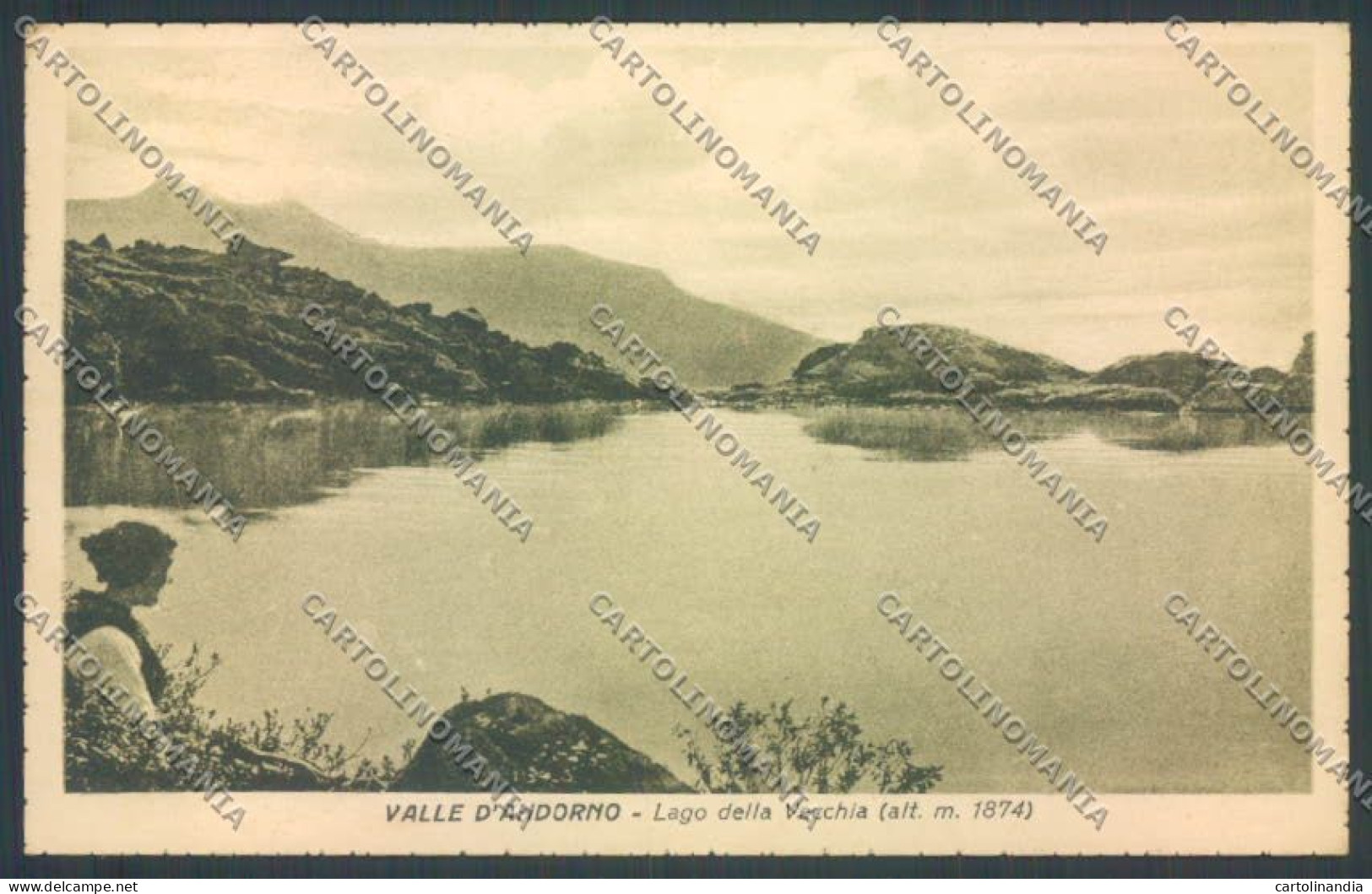 Biella Andorno Lago Della Vecchia Cartolina ZT5995 - Biella