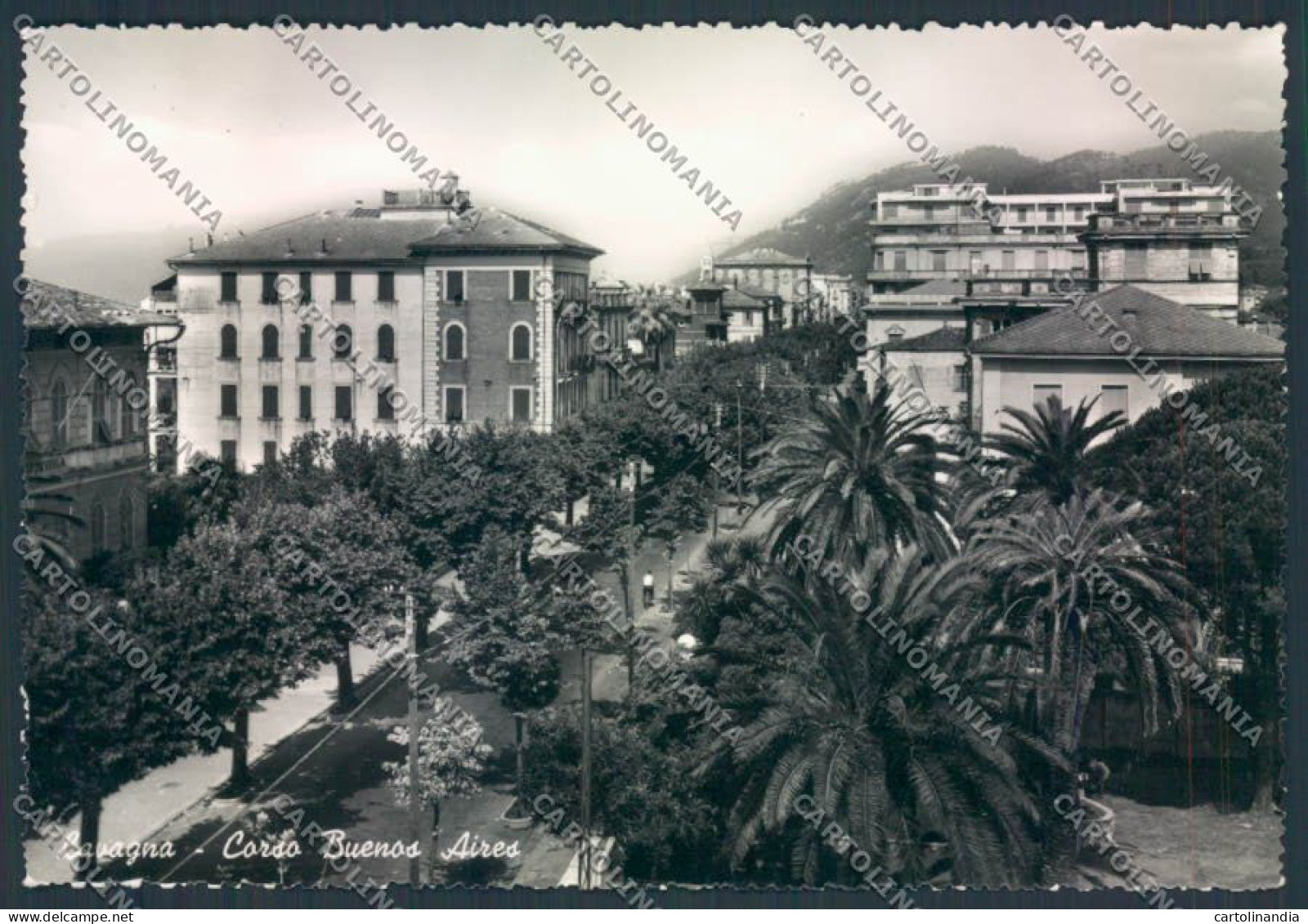 Genova Lavagna Foto FG Cartolina ZF3066 - Genova (Genoa)