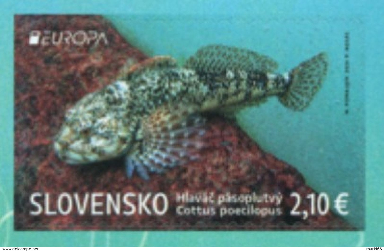 Slovakia - 2024 - Europa CEPT - Underwater Flora And Fauna - Alpine Bullhead Fish - Mint Booklet Stamp - Unused Stamps