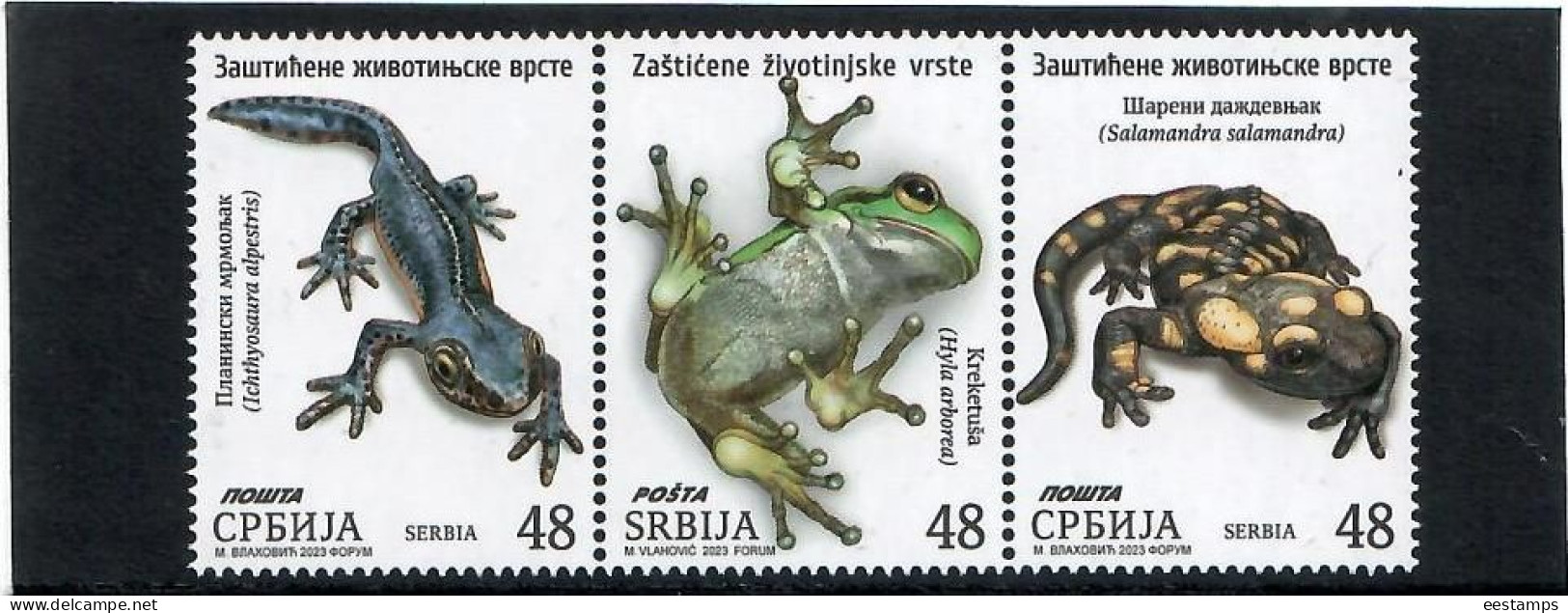 Serbia  2023 . Fauna, Animals, Amphibians, Frogs, Alpine Newt Fire Salamander . 3v. - Serbie