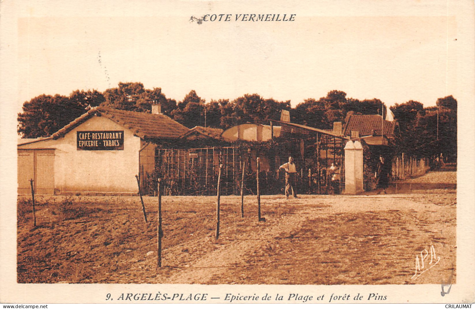 66-ARGELES SUR MER-N°6039-C/0067 - Argeles Sur Mer