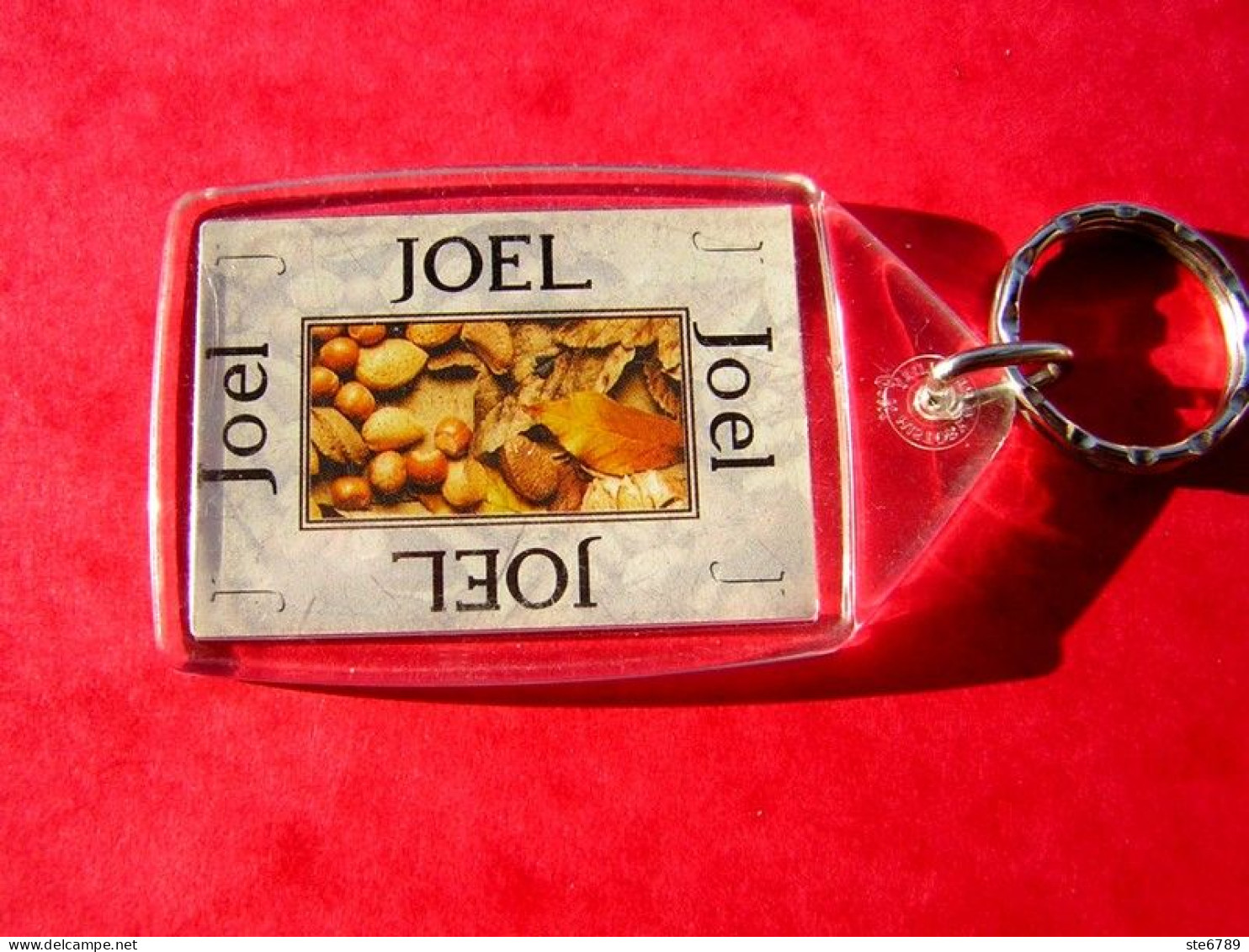 Prénom JOEL Porte Clés Clefs - Porte-clefs