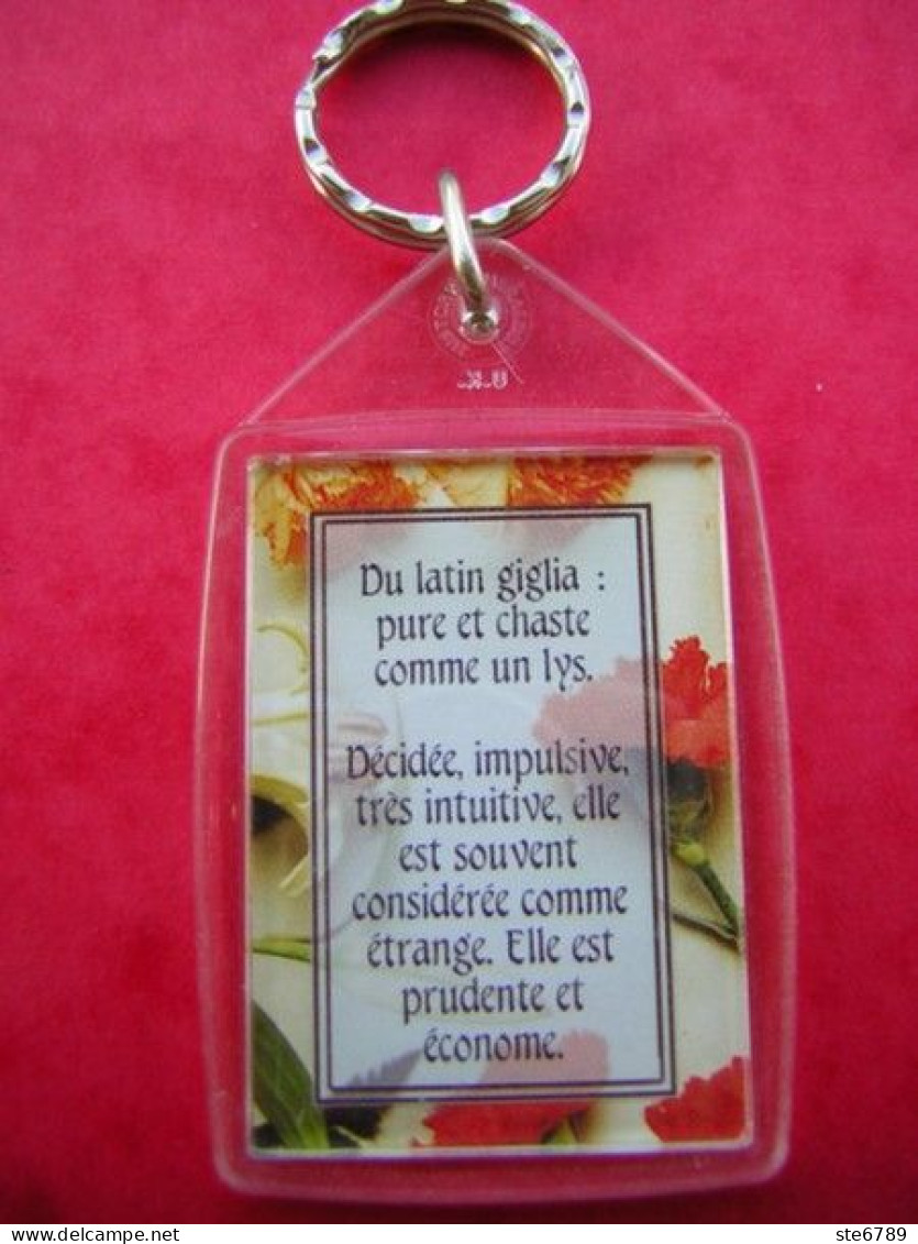 Prénom LILIANE Porte Clés Clefs - Key-rings