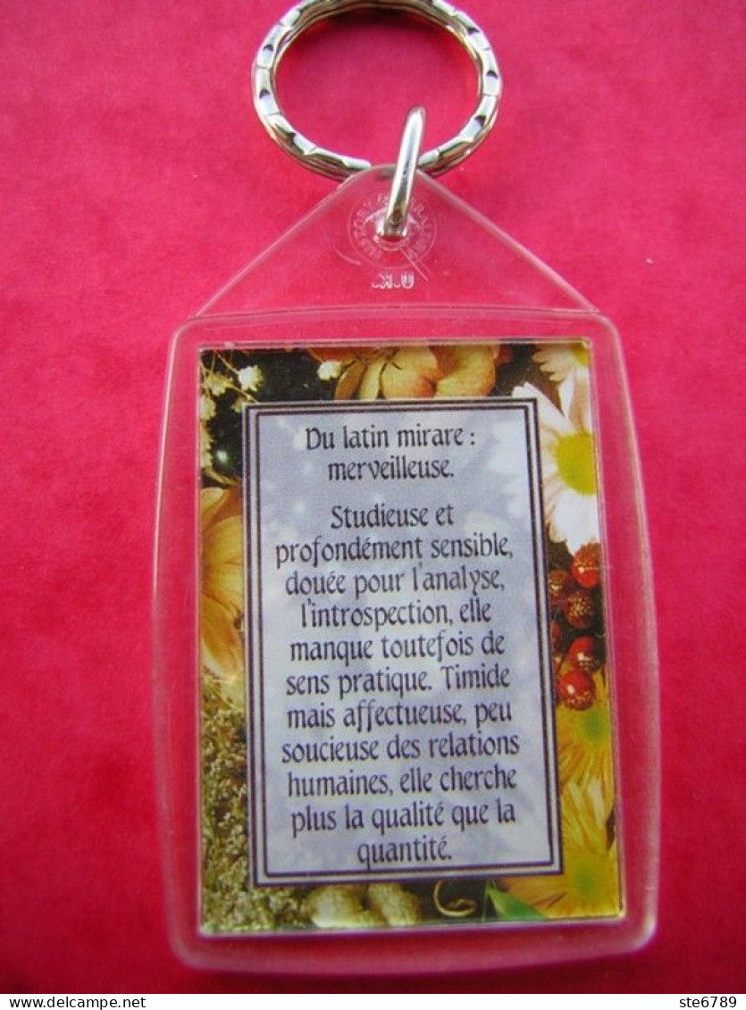 Prénom MIREILLE Porte Clés Clefs - Porte-clefs