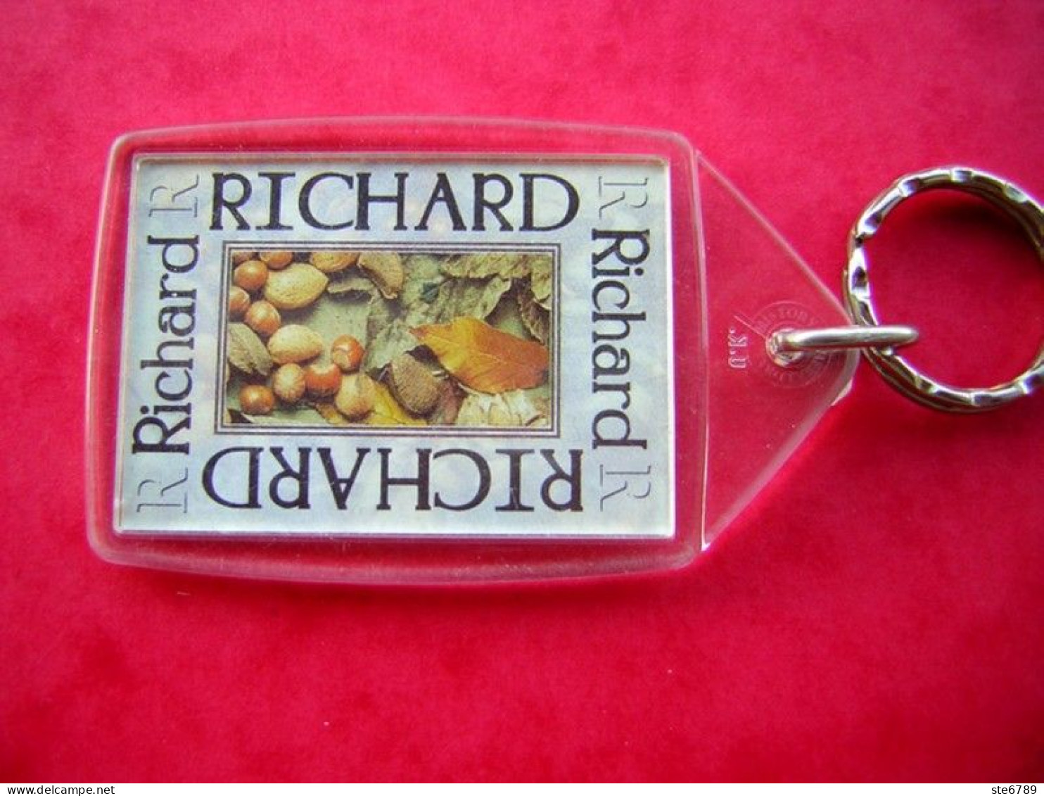 Prénom RICHARD Porte Clés Clefs - Porte-clefs