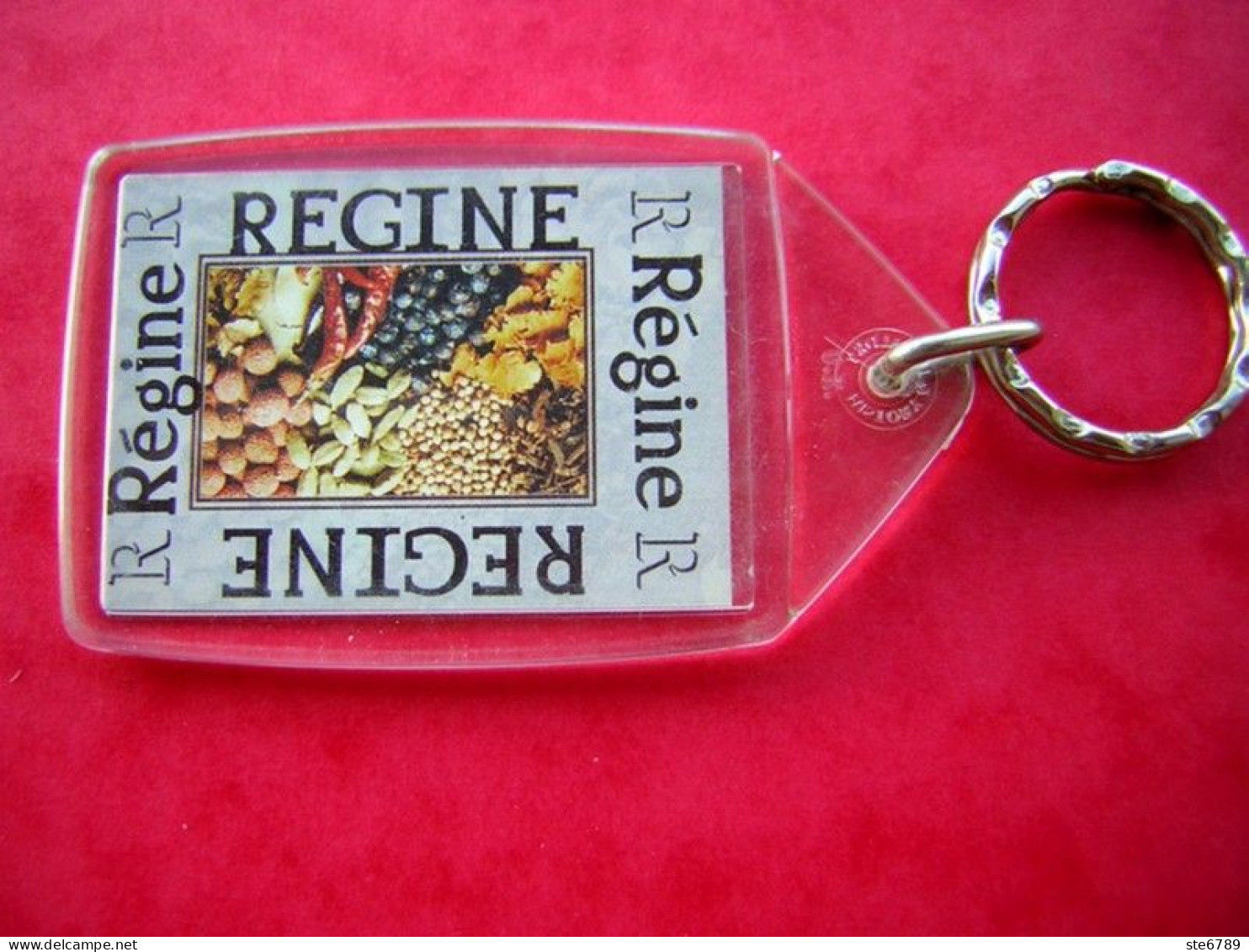 Prénom REGINE Porte Clés Clefs - Porte-clefs