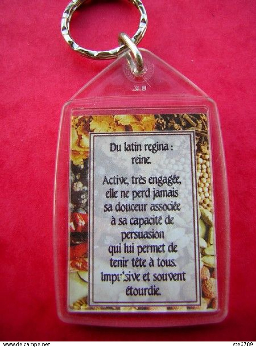 Prénom REGINE Porte Clés Clefs - Porte-clefs