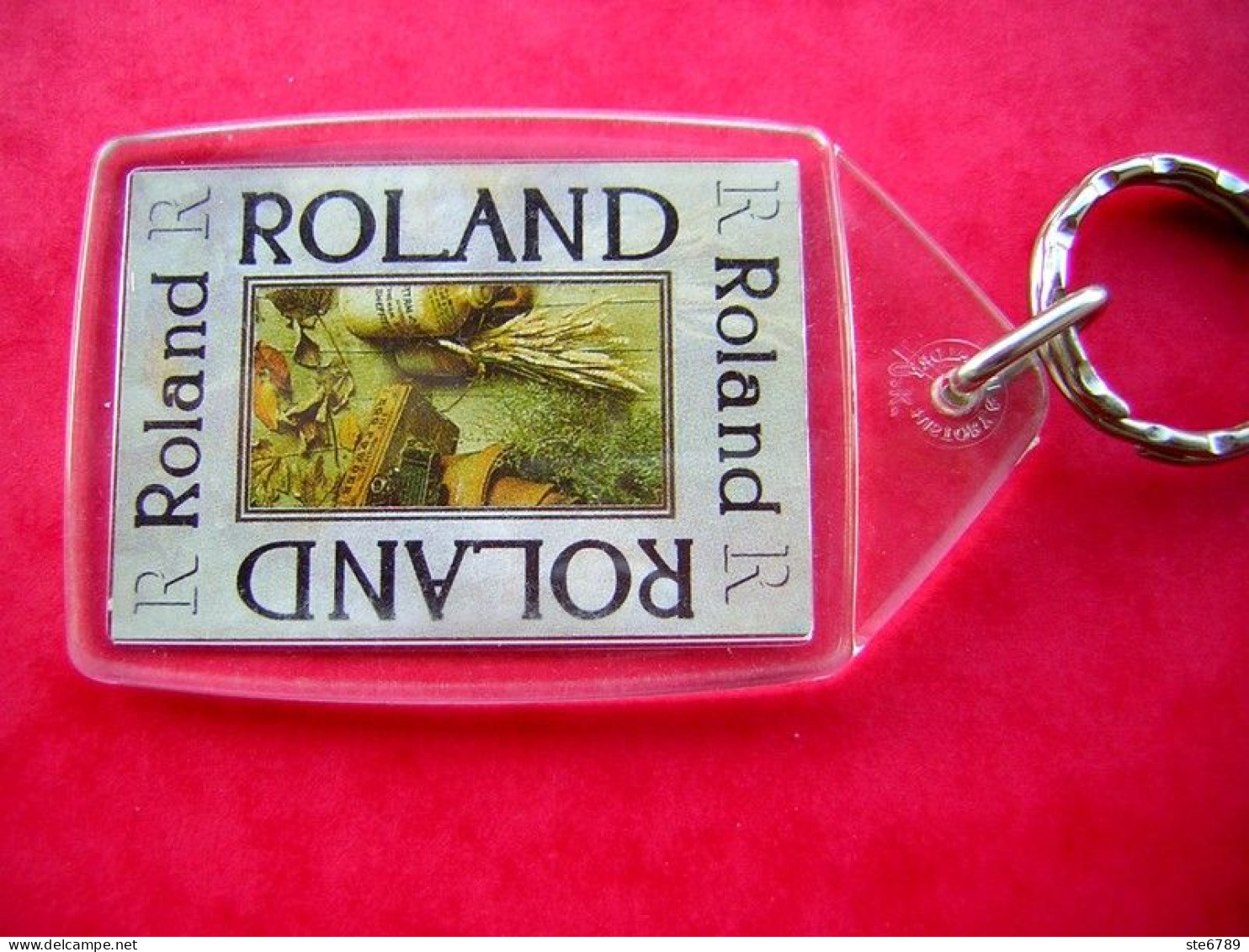 Prénom ROLAND Porte Clés Clefs - Porte-clefs