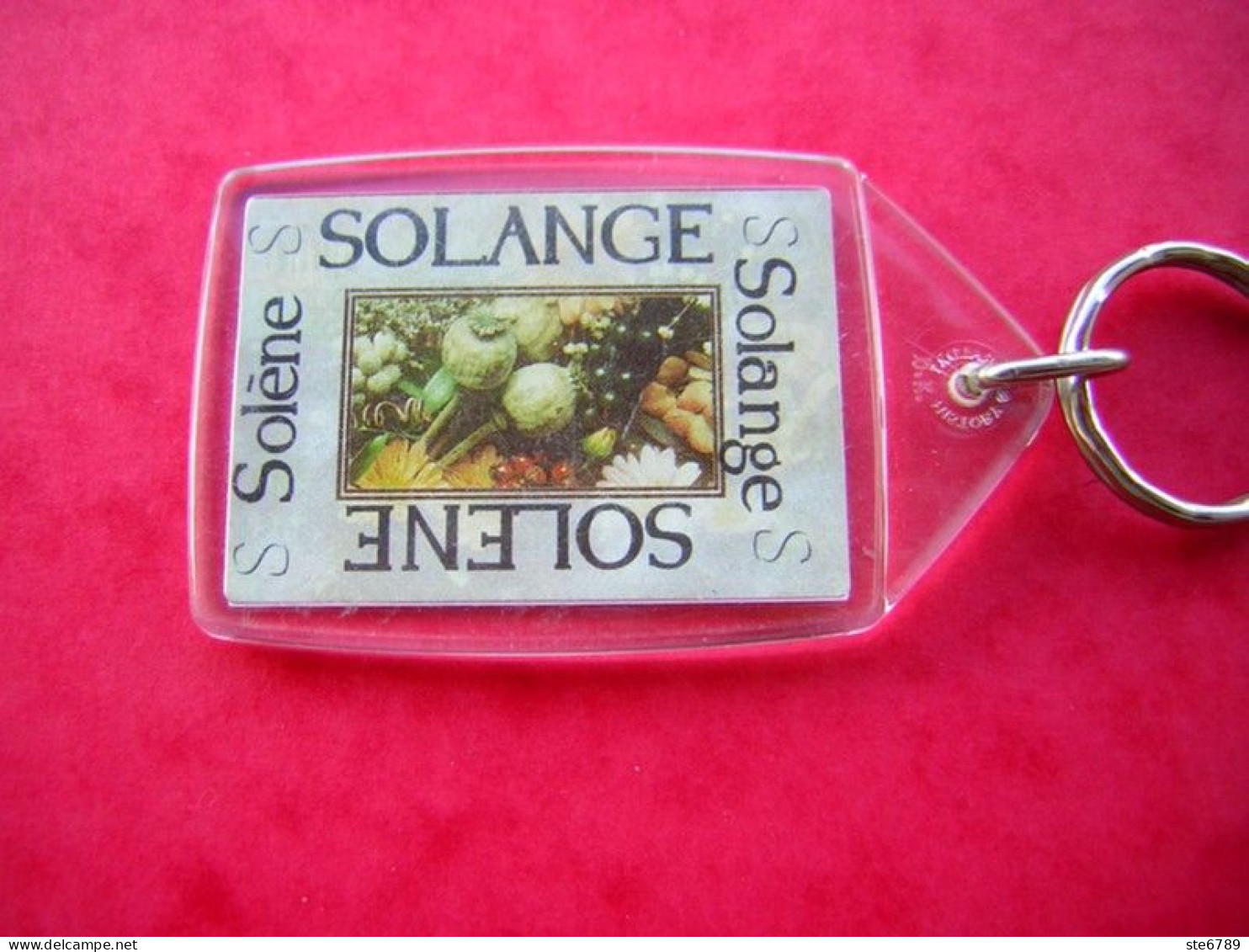 Prénom SOLANGE SOLENE Porte Clés Clefs - Porte-clefs