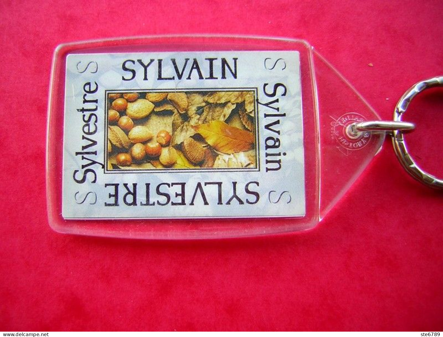 Prénom SYLVAIN SYLVESTRE Porte Clés Clefs - Key-rings