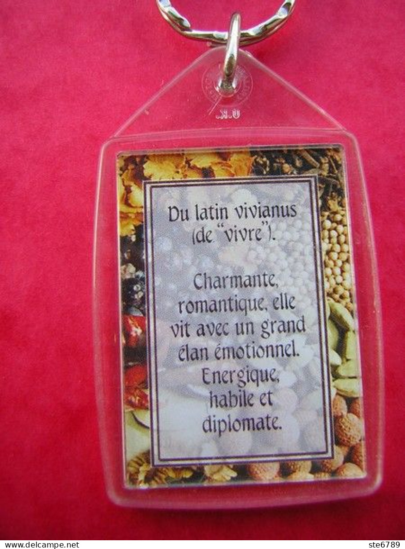 Prénom VIVIANE Porte Clés Clefs - Porte-clefs