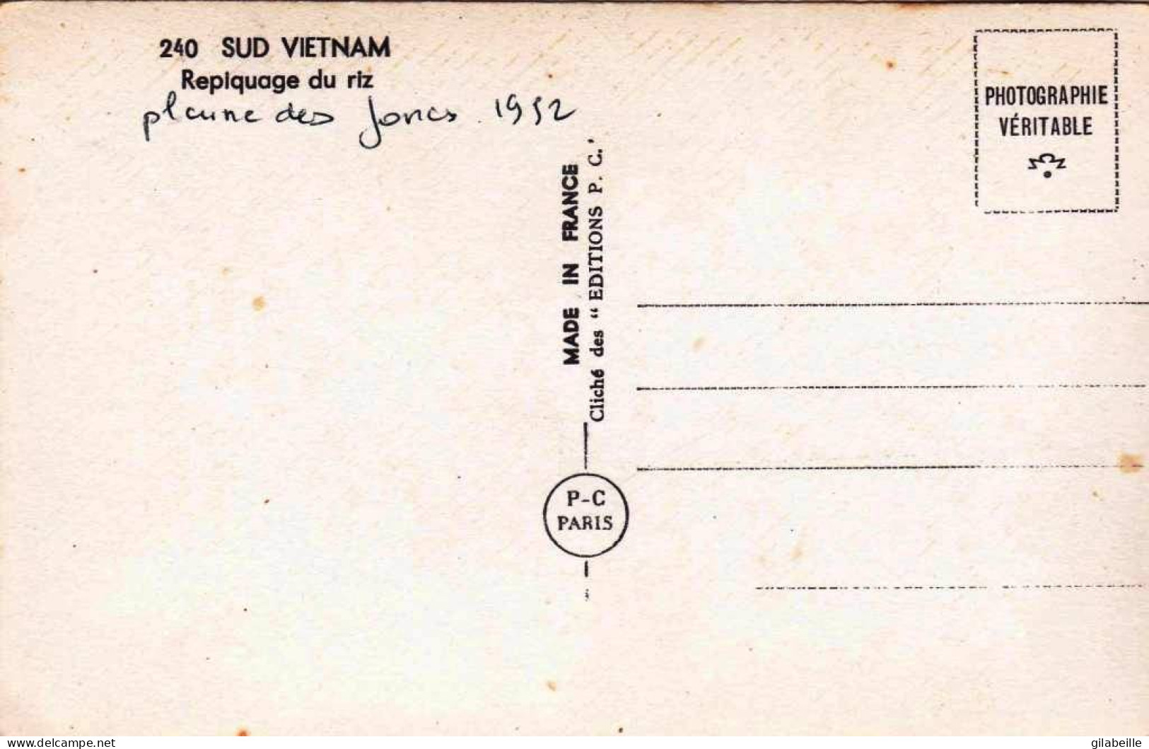 Viêt-Nam - Cochinchine - SAIGON  - Repiquage Du Riz - Plaine Des Joncs - 1952 - Vietnam