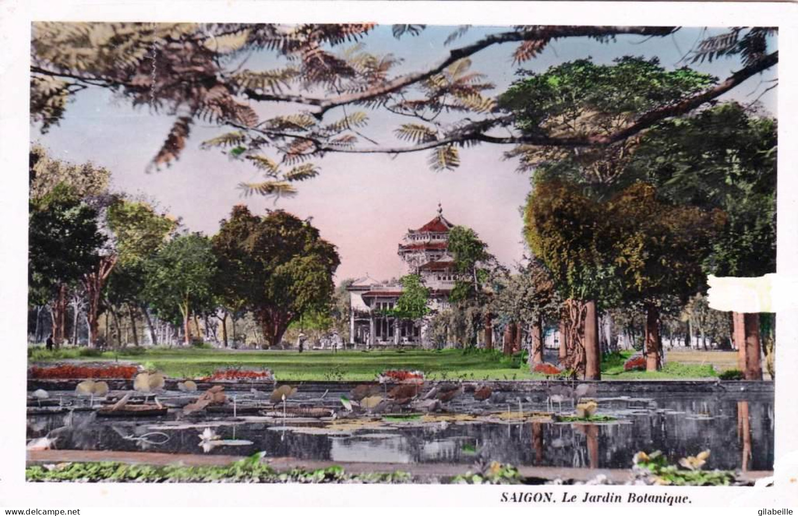 Viêt-Nam - Cochinchine - SAIGON  -jardin Botanique Pres Phu-Ny - 1952 - Vietnam