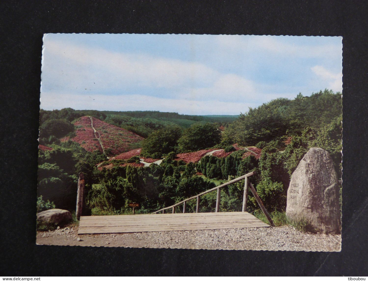 DANEMARK DANMARK AVEC YT 488 70e ANNIVERSAIRE DU ROI - REBILD NATIONAL PARK - Storia Postale