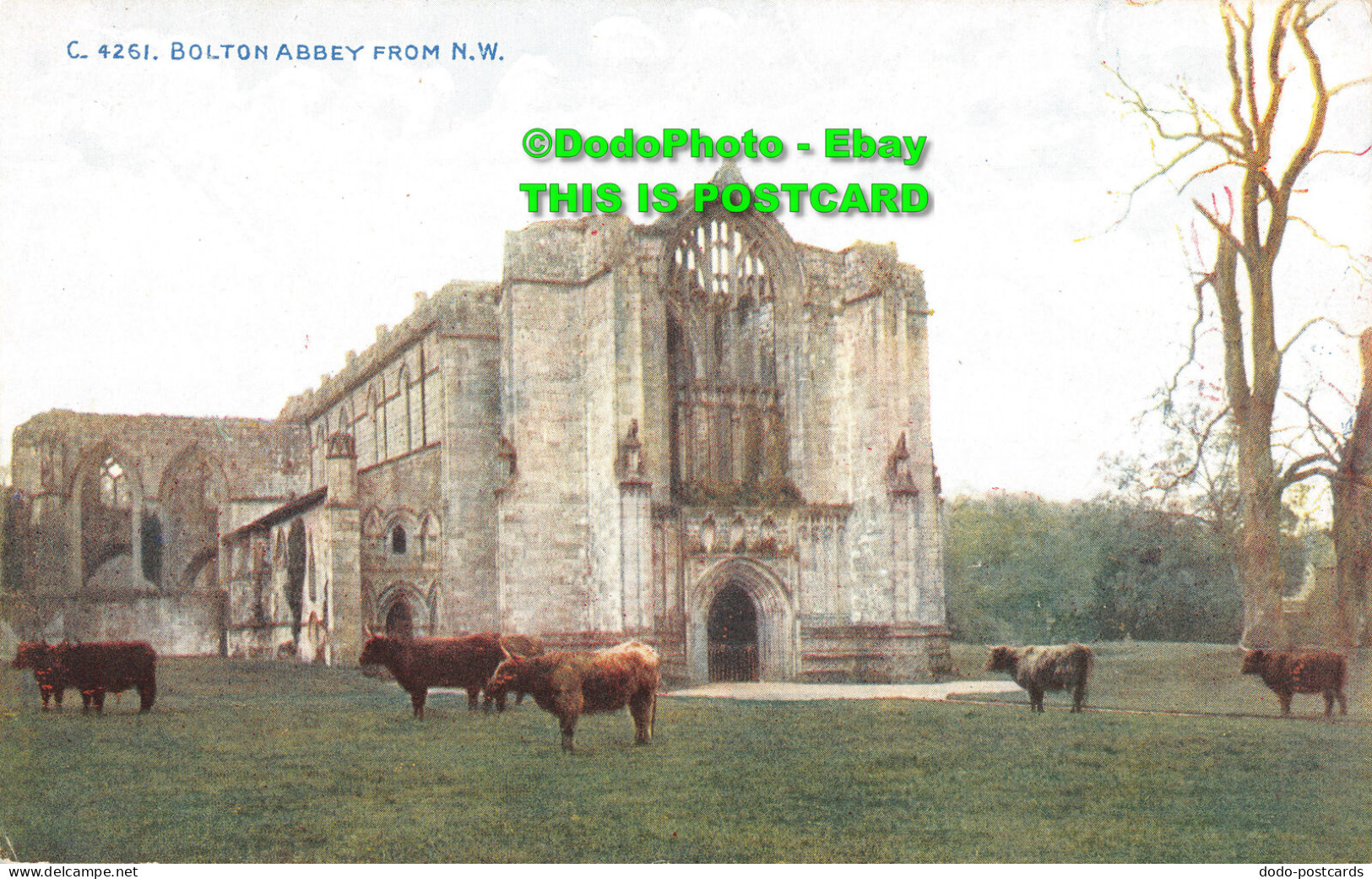 R438271 C. 4261. Bolton Abbey From N. W. Celesque Series. Photochrom - Monde