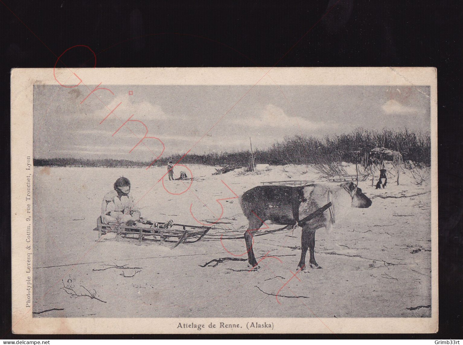 Alaska - Attelage De Renne - Postkaart - Other & Unclassified