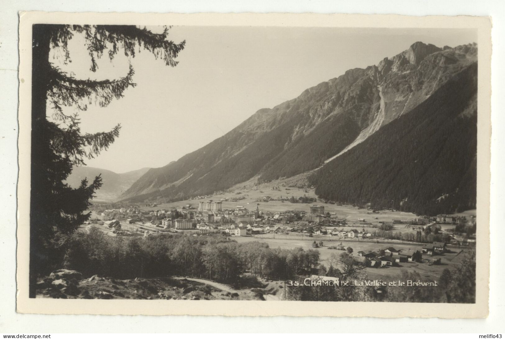 74/ CPSM -  Chamonix - La Vallée Et Le Brèvent - Chamonix-Mont-Blanc